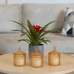 Apartman Unique